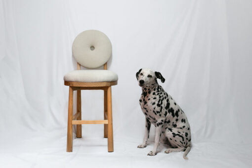 Silla Rosca - Imagen 4
