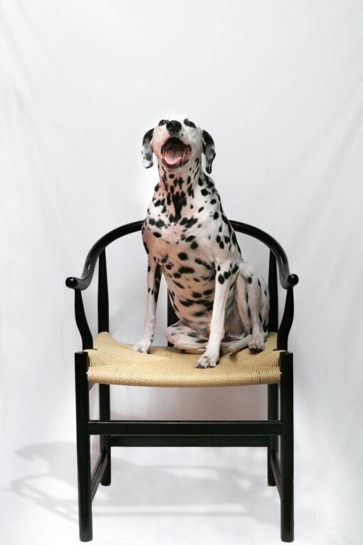 Silla Chinois - Imagen 4
